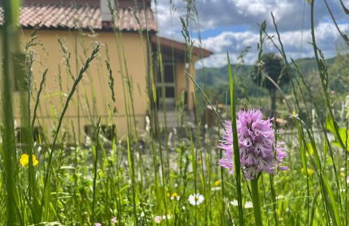 Casa Sibilla Agriturismo Le Castellare - Foto 22