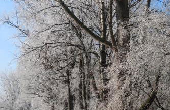 Studioferienhaus Herzogstadt-Celle - Foto 30