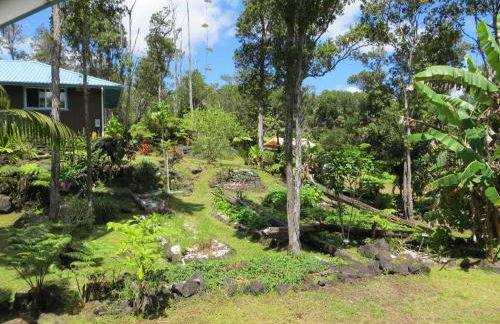 Ixchel Hawaii Volcano - Foto 18