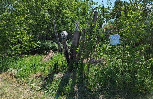 Nunaka Valley Cottage - Photo 13