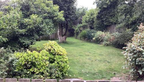 Apple Tree Corner - Foto 5