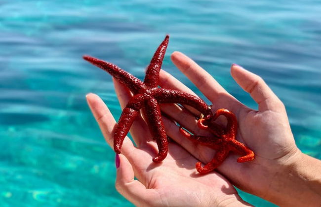 Villa Elaionas 1 - Foto 43