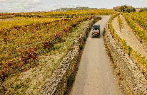 Refúgio Rústico - Exclusivo - Foto 27