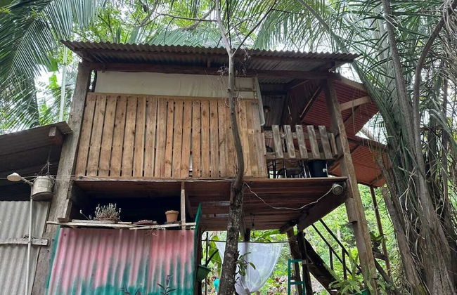 Pousada Pouso das Araras - Foto 5