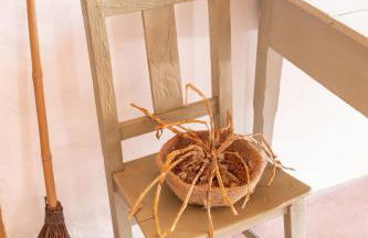 Pátio Serrano - Foto 42