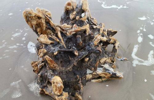 Holiday home in Ückeritz with swimming pool - Foto 32