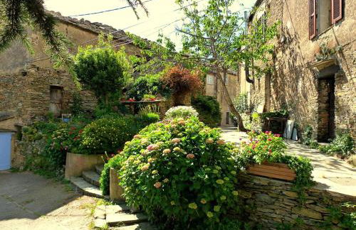 Très jolie maison aux portes du Cap Corse - Foto 30