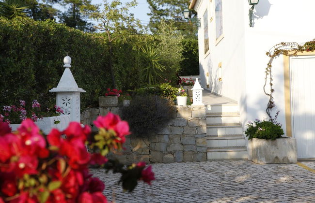 Muthu Balaia Sol - Photo 68