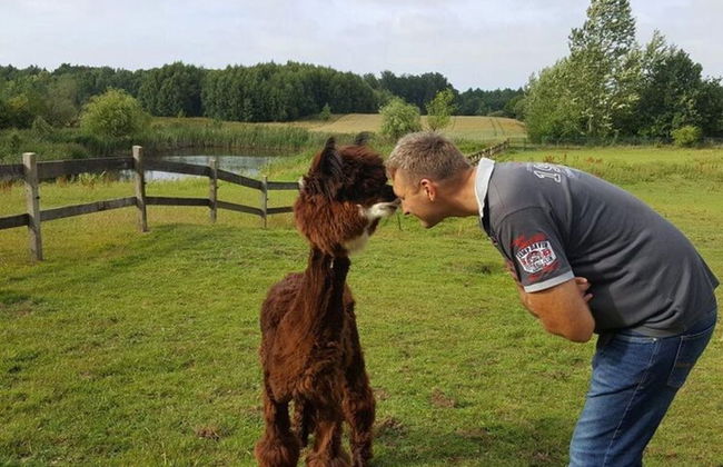Holiday Home in the Countryside, Dzierzecin - Photo 14