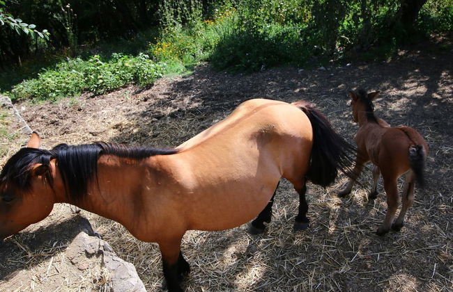 Belvilla by OYO Club House - Foto 34