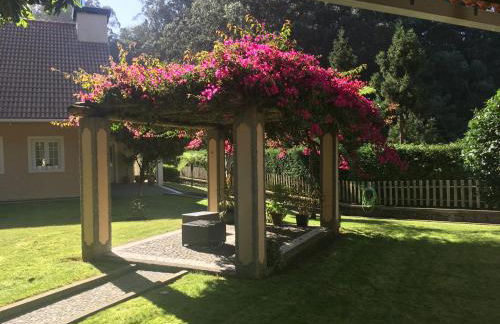 Quiet Place - Foto 7