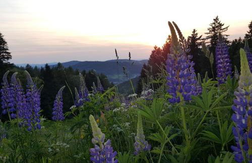 Ferienhaus Am Kirchberg - Foto 43