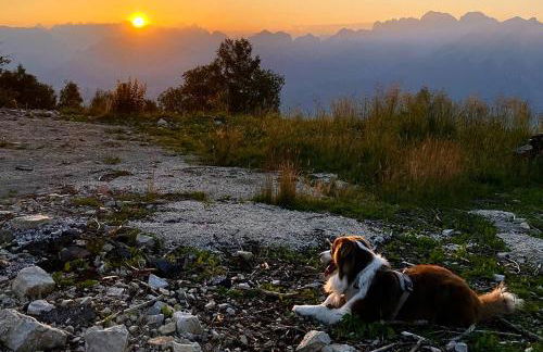 Casetta dipinta Fattoria dei fiori - Photo 67