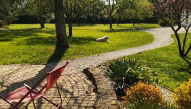 La Charmeraie adorable chaumière dans un écrin de verdure - Foto 5, Garden