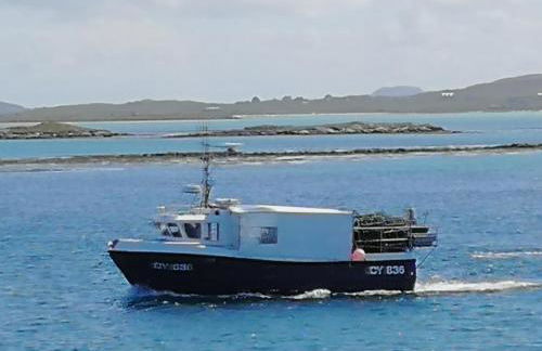 The Fisherman's Snug self catering North Uist - Foto 36