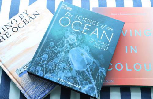 Mavericks Wave - Foto 39