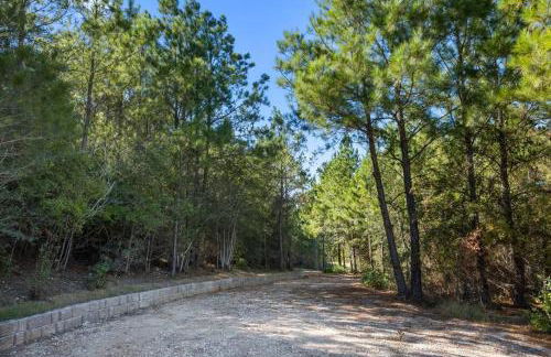 Modern Cabin Nestled in a Pine Forest Near Austin - Foto 77