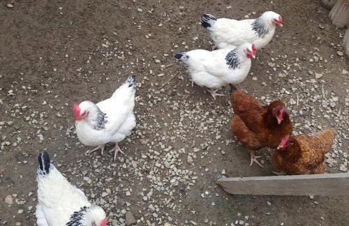 Ośrodek na zakręcie - Foto 19