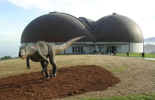 Olas y flores silvestres 2 - Foto 21