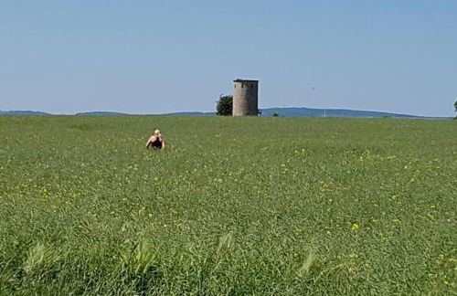Kornhaus - schöne Ferienwohnung mit Pool, Kamin und Terrasse - Foto 16