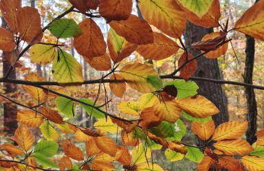 Ferienwohnung Gentsch in Schmannewitz - Foto 61