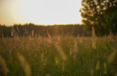 Romantik Unterkünfte Gut Rechetsberg - Foto 46
