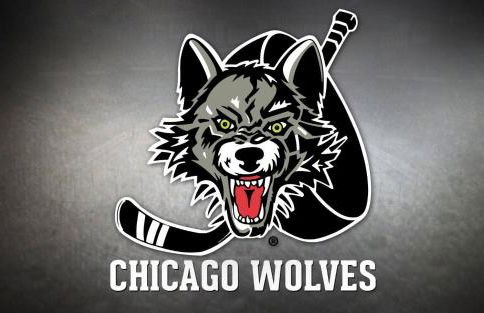 Chicago Gem! Centrally Located - proximity to O' Hare Airport - Foto 23