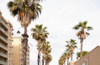 Paradiso Garden - Foto 21