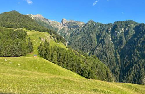 Il Maggiolino Mountain Apartment - Photo 15