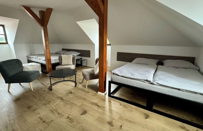 Family Apartments Černice - Foto 34