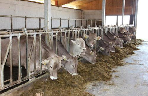 Ferienhaus Kögel - Foto 59