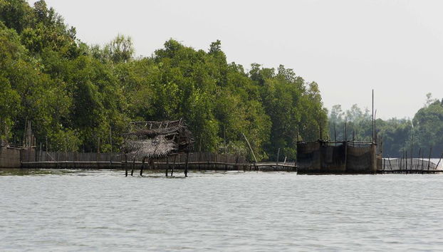 Journée complète à Galle avec la rivière de Balapitiya - Photo 4