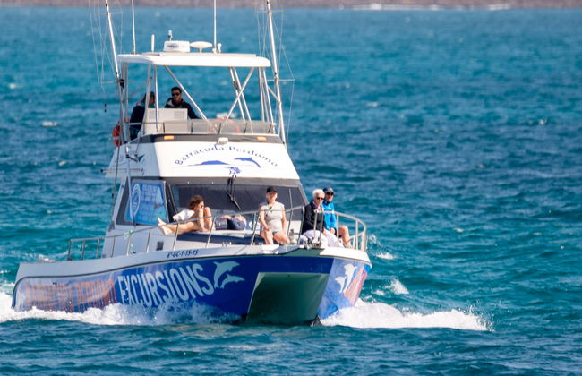 Paseo en barco con avistamiento de cetáceos desde Corralejo - Foto 1