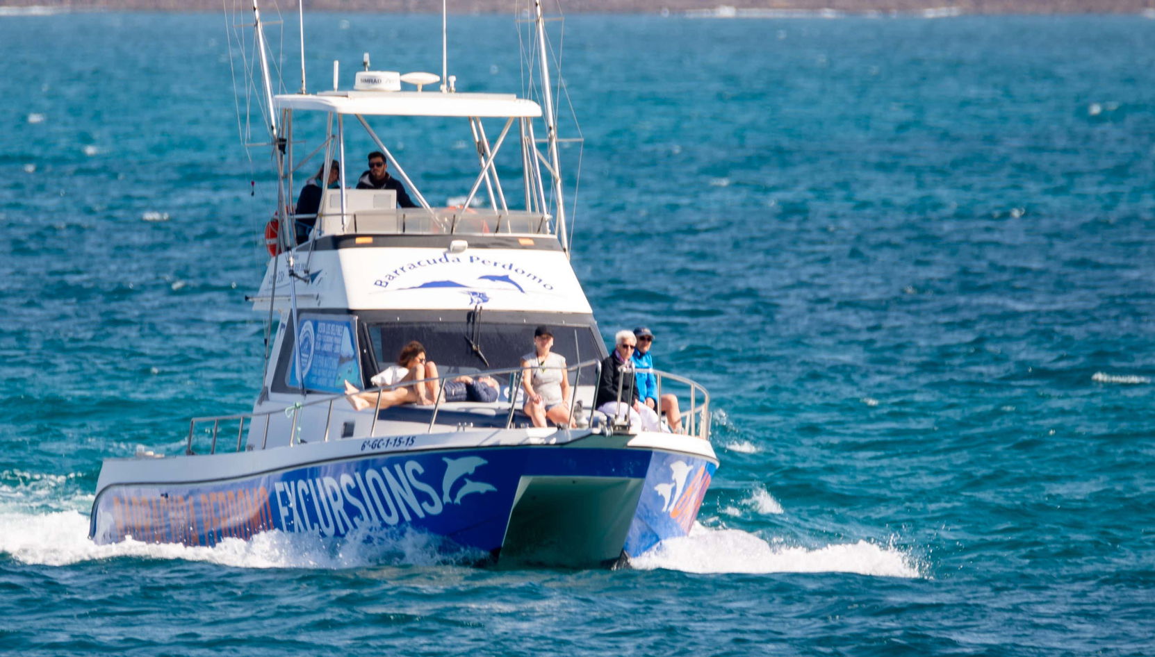 Whale Watching Boat Tour