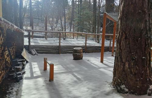 La Casa di Chicca - Foto 4