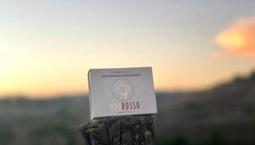 Agriturismo La Terrazza sul Mangia - Foto 4