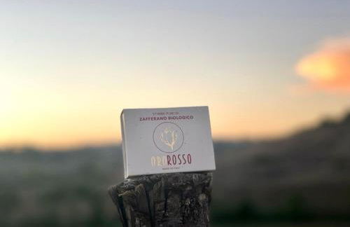 Agriturismo La Terrazza sul Mangia - Foto 4