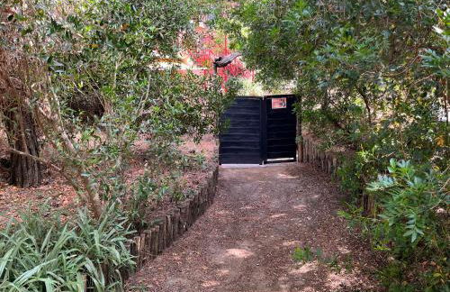 Casa duna sulla spiaggia - Foto 33