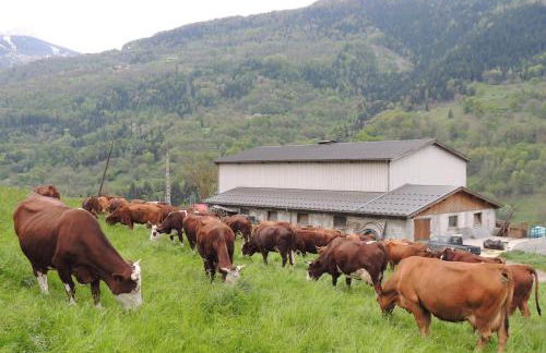 Gîte Les Grands Champs - Foto 73