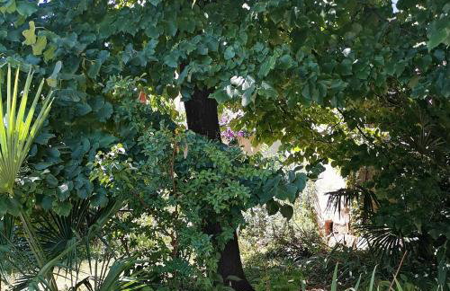 Secret Garden Apartment with private parking space - Photo 29