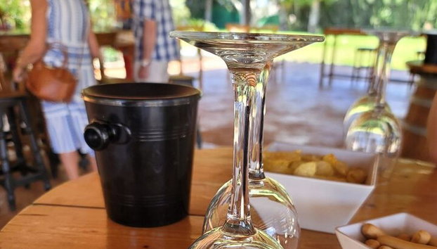 Tour Castillo en Provincia de Alicante y Cata de Vinos - Foto 5