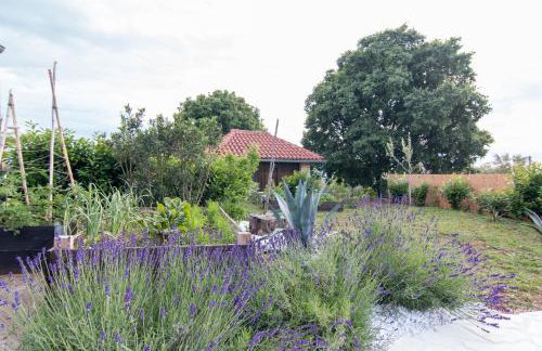 Apartman Patalino - Foto 32