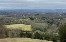The Old Dairy Steep,Petersfield in Collyers Estate in the South Downs National park - Foto 3