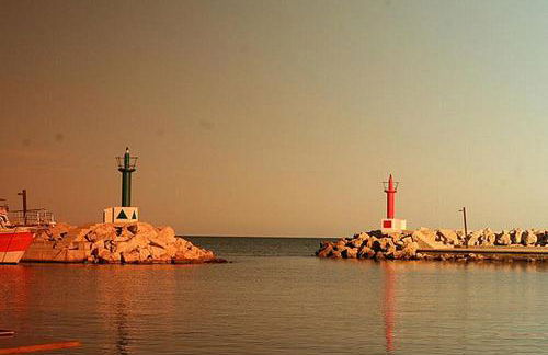 Calamilloraptm2 - Foto 38