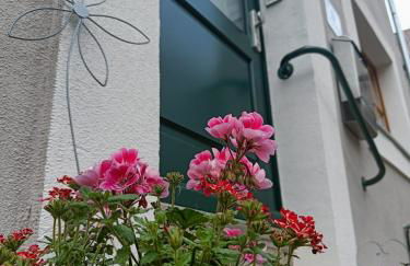 Charlys Ferienhaus (ALTSTADT VOLKACH) - Foto 21