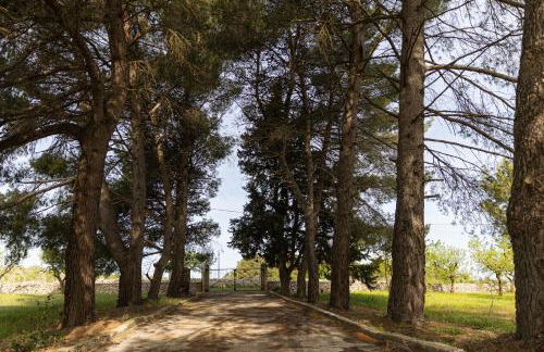 Casina al Castello - Natura e Relax - Foto 20