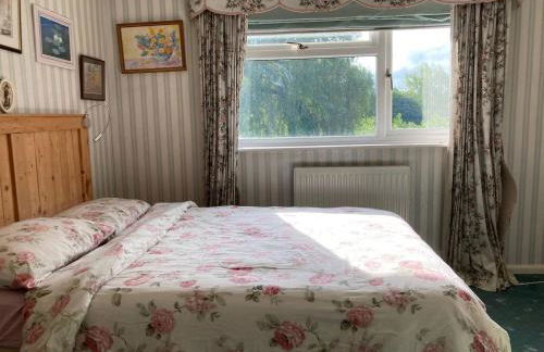 Room with a View - Photo 8