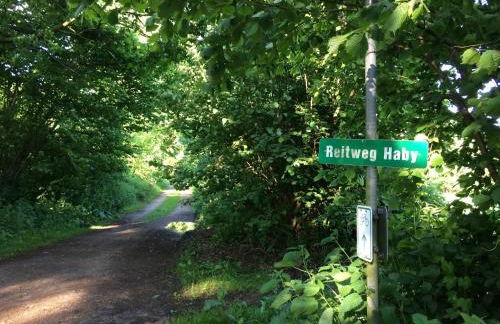 Hoheluft am Wittensee Apt 3 - Foto 20