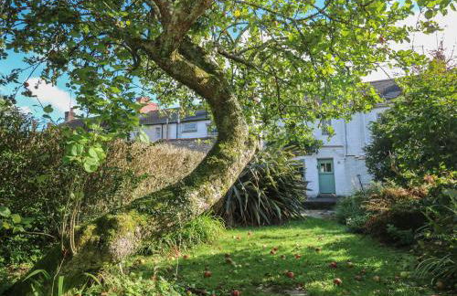 Apple Tree Cottage - Photo 25