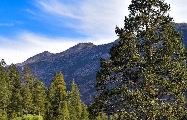 Excursion à Arteaga - Photo 1